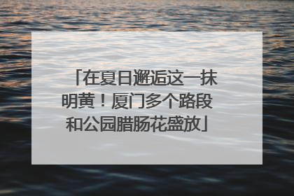 在夏日邂逅这一抹明黄！厦门多个路段和公园腊肠花盛放