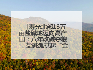 寿光北部13万亩盐碱地迈向高产田：八年改碱夺粮，盐碱滩拱起“金粮仓”