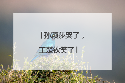 孙颖莎哭了，王楚钦笑了