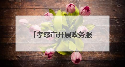 孝感市开展政务服务政策宣讲会 精准服务助力企业发展