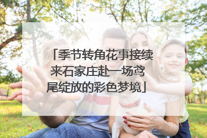 季节转角花事接续 来石家庄赴一场鸢尾绽放的彩色梦境