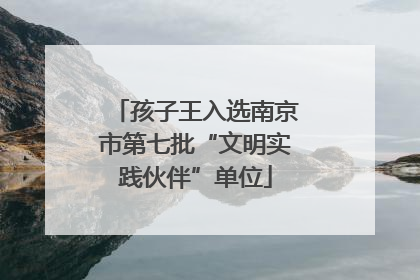 孩子王入选南京市第七批“文明实践伙伴”单位