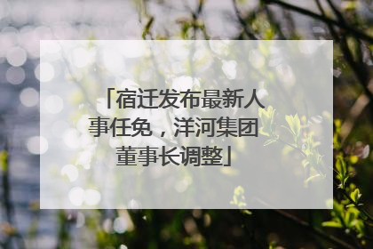 宿迁发布最新人事任免，洋河集团董事长调整
