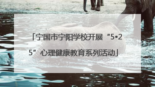 宁国市宁阳学校开展“5•25”心理健康教育系列活动