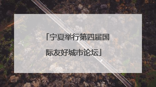 宁夏举行第四届国际友好城市论坛