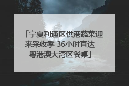 宁夏利通区供港蔬菜迎来采收季 36小时直达粤港澳大湾区餐桌