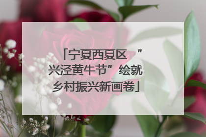 宁夏西夏区 “兴泾黄牛节”绘就乡村振兴新画卷