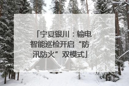 宁夏银川：输电智能巡检开启“防汛防火”双模式