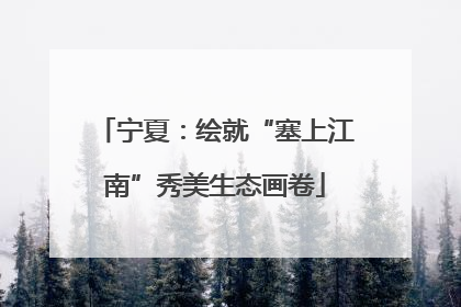 宁夏：绘就“塞上江南”秀美生态画卷