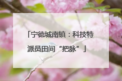 宁德城南镇：科技特派员田间“把脉”