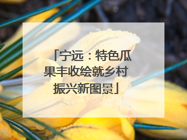 宁远：特色瓜果丰收绘就乡村振兴新图景
