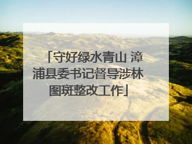 守好绿水青山 漳浦县委书记督导涉林图斑整改工作