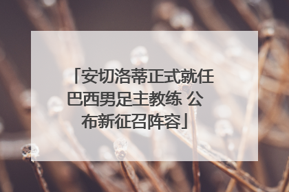安切洛蒂正式就任巴西男足主教练 公布新征召阵容