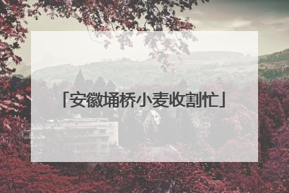 安徽埇桥小麦收割忙