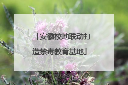 安徽校地联动打造禁毒教育基地
