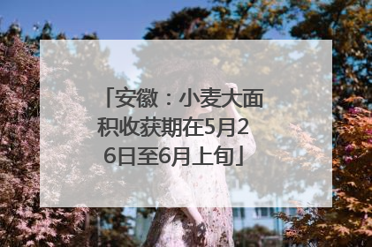 安徽：小麦大面积收获期在5月26日至6月上旬