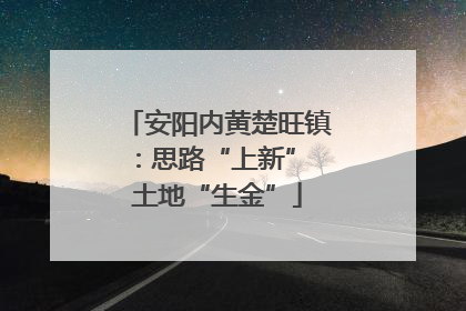 安阳内黄楚旺镇：思路“上新” 土地“生金”