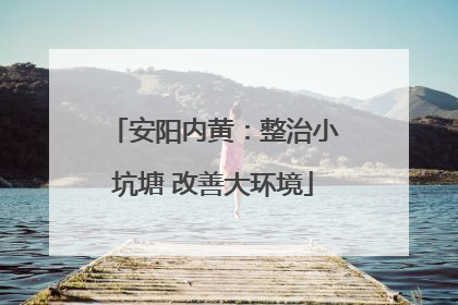 安阳内黄：整治小坑塘 改善大环境