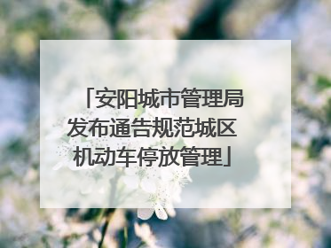 安阳城市管理局发布通告规范城区机动车停放管理