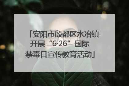 安阳市殷都区水冶镇开展“6·26”国际禁毒日宣传教育活动