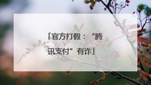 官方打假：“腾讯支付”有诈
