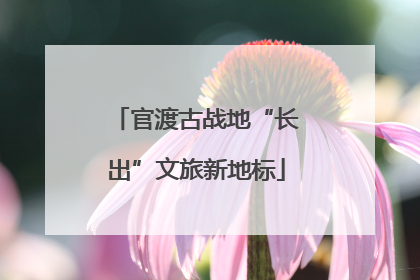 官渡古战地“长出”文旅新地标