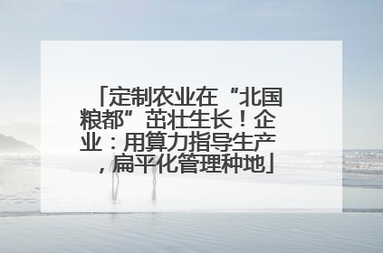 定制农业在“北国粮都”茁壮生长！企业：用算力指导生产，扁平化管理种地