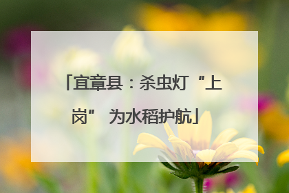 宜章县：杀虫灯“上岗” 为水稻护航