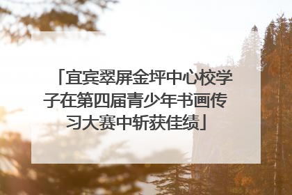 宜宾翠屏金坪中心校学子在第四届青少年书画传习大赛中斩获佳绩