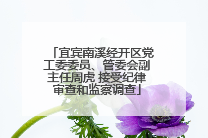 宜宾南溪经开区党工委委员、管委会副主任周虎 接受纪律审查和监察调查