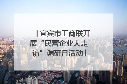 宜宾市工商联开展“民营企业大走访”调研月活动