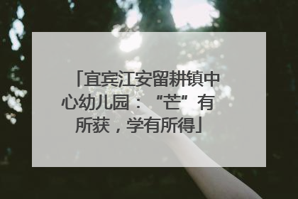 宜宾江安留耕镇中心幼儿园：“芒”有所获，学有所得
