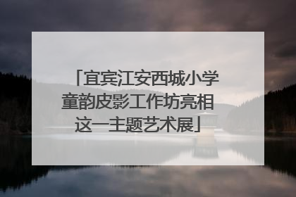 宜宾江安西城小学童韵皮影工作坊亮相这一主题艺术展