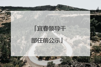 宜春领导干部任前公示