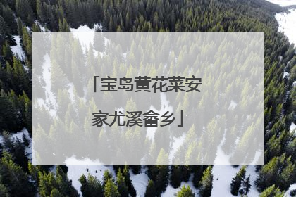 宝岛黄花菜安家尤溪畲乡