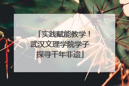 实践赋能教学！武汉文理学院学子探寻千年非遗