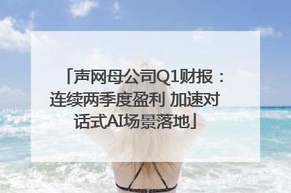 声网母公司Q1财报：连续两季度盈利 加速对话式AI场景落地