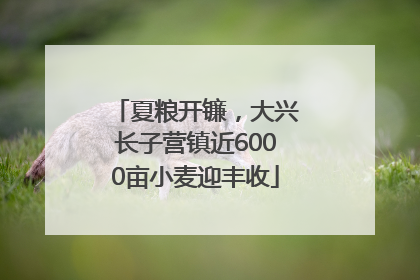 夏粮开镰，大兴长子营镇近6000亩小麦迎丰收