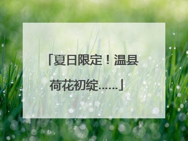 夏日限定！温县荷花初绽……