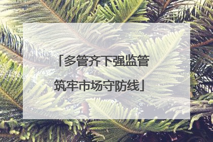 多管齐下强监管 筑牢市场守防线