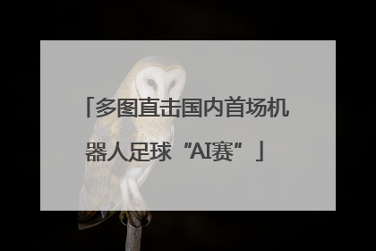 多图直击国内首场机器人足球“AI赛”