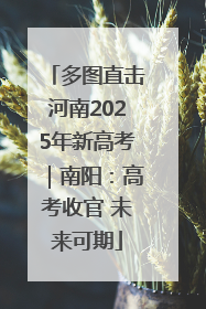 多图直击河南2025年新高考｜南阳：高考收官 未来可期