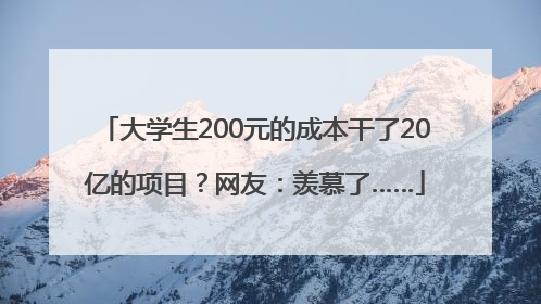 大学生200元的成本干了20亿的项目？网友：羡慕了……