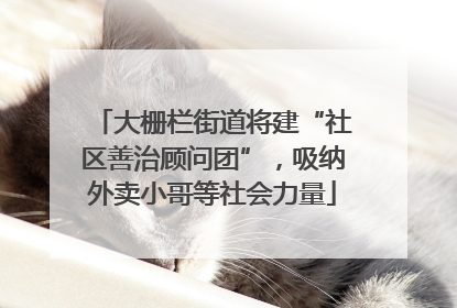 大栅栏街道将建“社区善治顾问团”，吸纳外卖小哥等社会力量