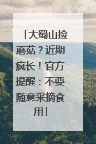 大蜀山捡蘑菇？近期疯长！官方提醒：不要随意采摘食用