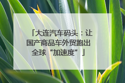 大连汽车码头：让国产商品车外贸跑出全球“加速度”