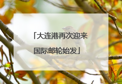 大连港再次迎来国际邮轮始发