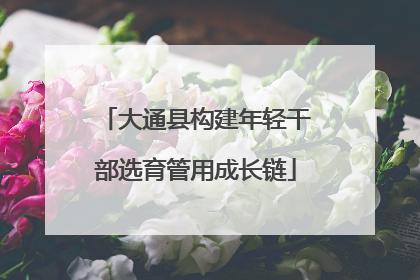 大通县构建年轻干部选育管用成长链