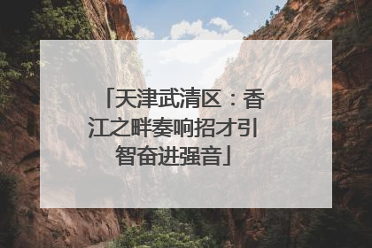 天津武清区：香江之畔奏响招才引智奋进强音