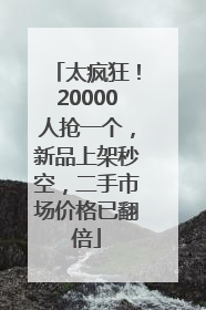 太疯狂！20000人抢一个，新品上架秒空，二手市场价格已翻倍